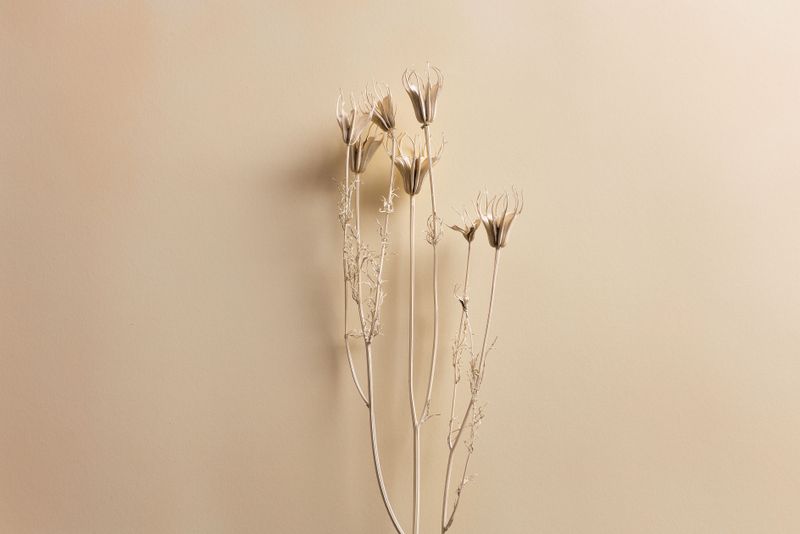 Fleurs séchées sur un fond beige